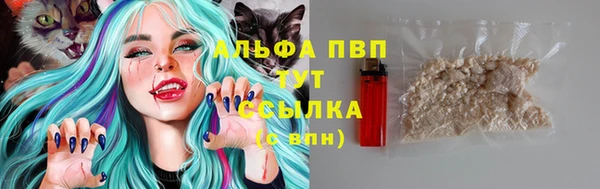 винт Белокуриха